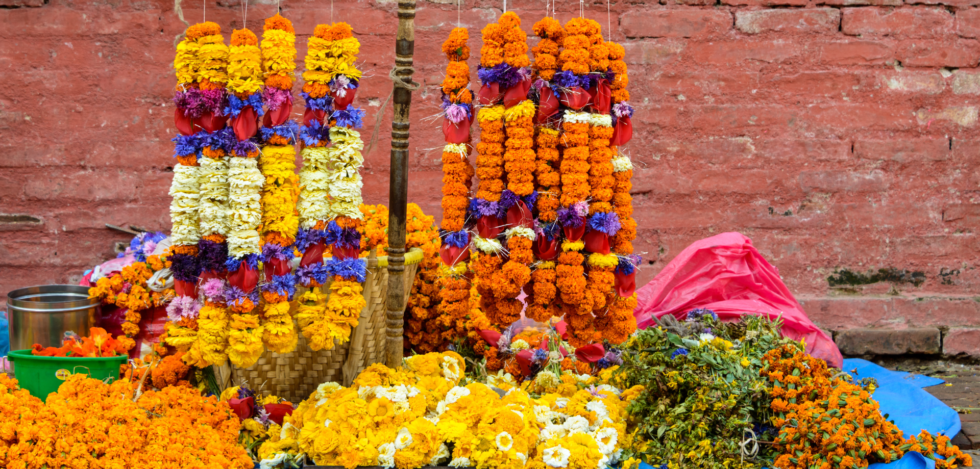 drager in nepal 19