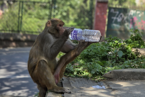 16 daagse hoogtepuntenreis in nepal 51