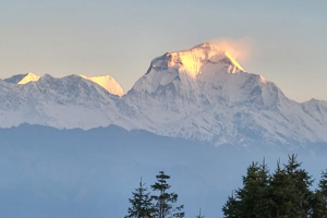 annupurna community trek mohare hill 15