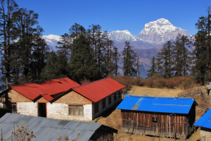 annupurna community trek mohare hill 20