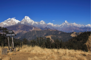 annupurna community trek mohare hill 23