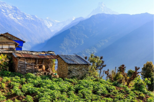 annupurna community trek mohare hill 25