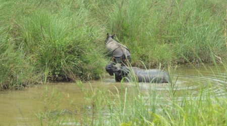 chitwan of bardia national park 4