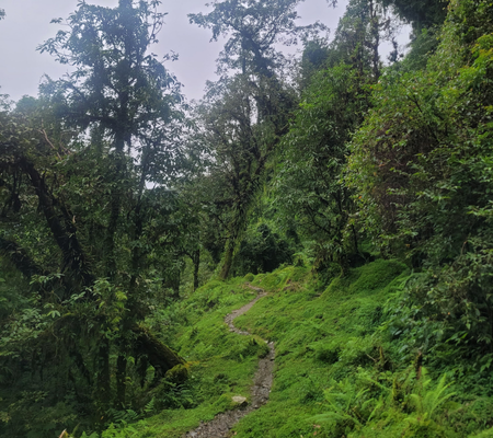 helambu trektocht 29