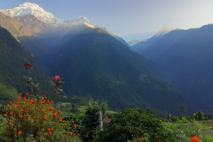 khopra ridge trek 19