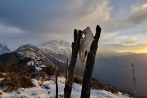 langtang vallei trek 9 dagen 24