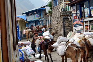 manaslu met tsum vallei trek 22 dagen 11
