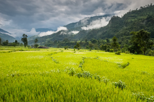 manaslu met tsum vallei trek 22 dagen 41
