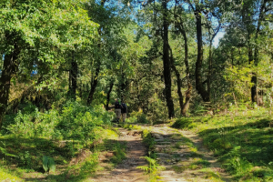 mardi himal trek 9 dagen 9