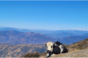 pikey peak trektocht zicht op mount everest 8 dagen 29
