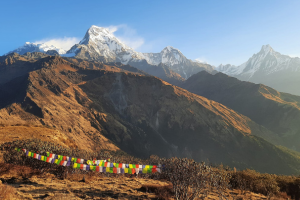 poon hill met muldai peak trek 27