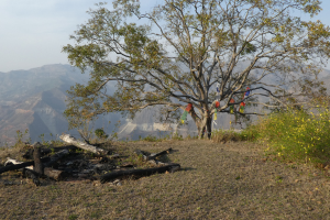 sailung trek indigenous people trail 29