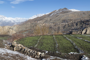 upper mustang trek 15 dagen 47