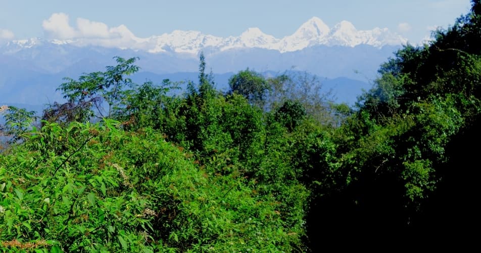 Community forest in Dhulikhel with view on the Himalaya